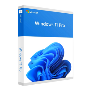 Microsoft Windows 11 Pro