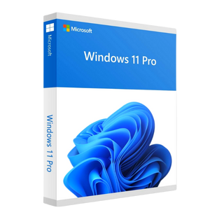 Microsoft Windows 11 Pro