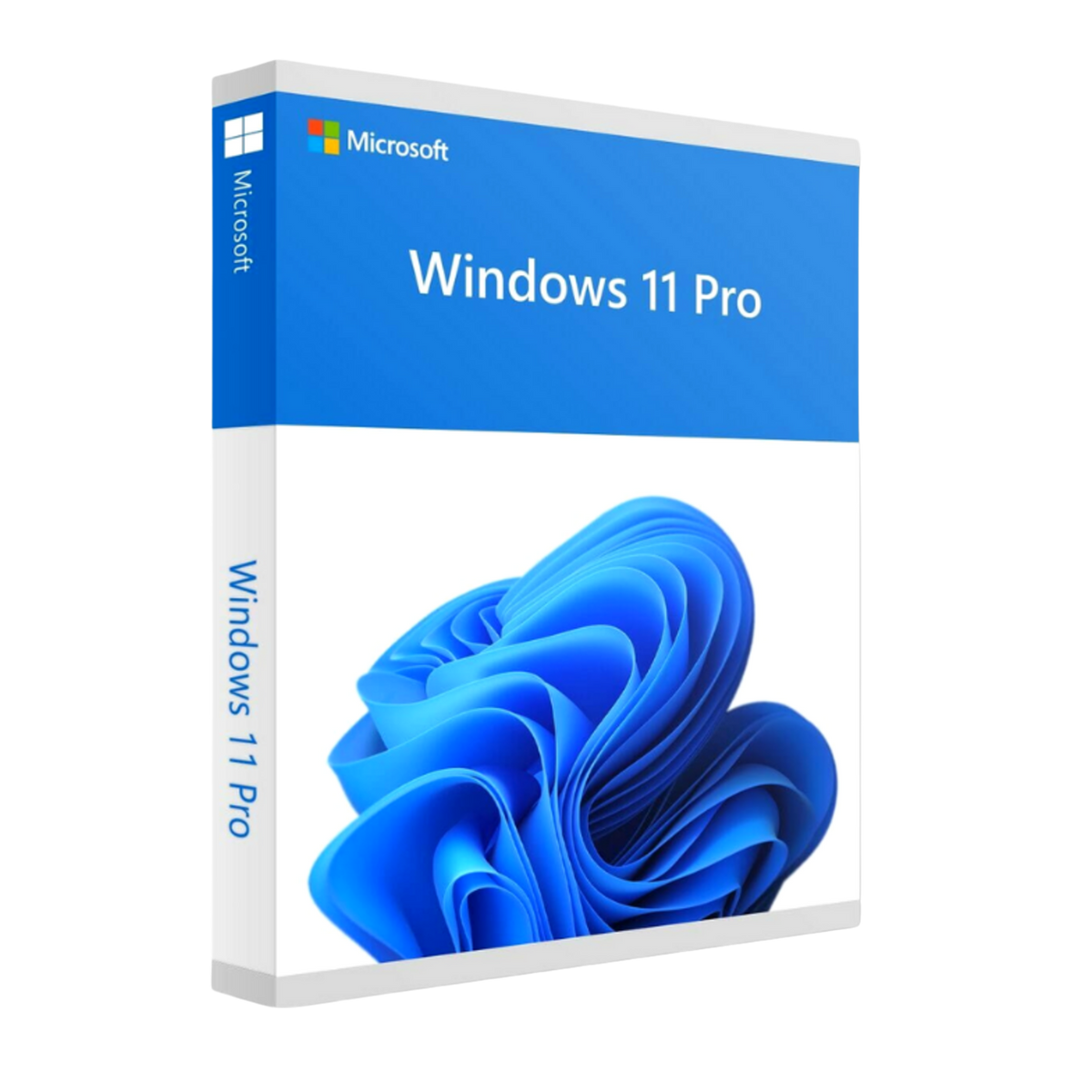 Microsoft Windows 11 Pro